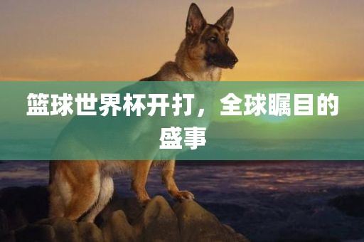 篮球世界杯开打，全球瞩目的盛事吉安市靖泰电力工程有限公司