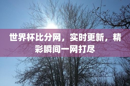 世界杯比分网，实时更新，精彩瞬间一网打尽