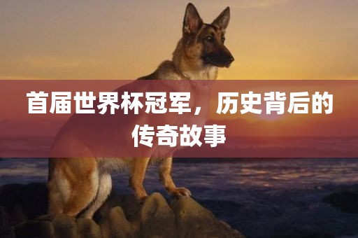 首届世界吉安市靖泰电力工程有限公司杯冠军，历史背后的传奇故事