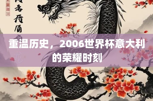 重温历史，2006世界杯意大利的荣耀时刻吉安市靖泰电力工程有限公司