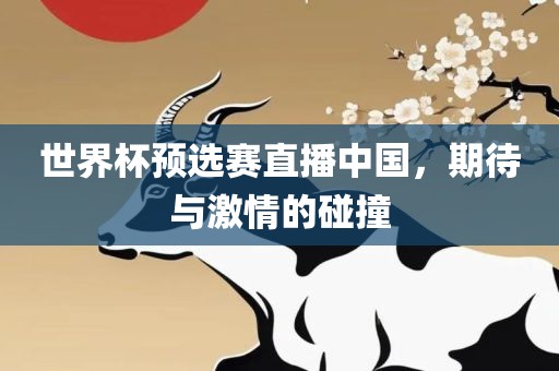 世界杯预选赛直播中国，期待与激情的碰撞