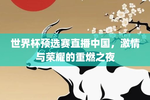 世界杯预选赛直播中国，激情与荣耀的重燃之夜吉安市靖泰电力工程有限公司