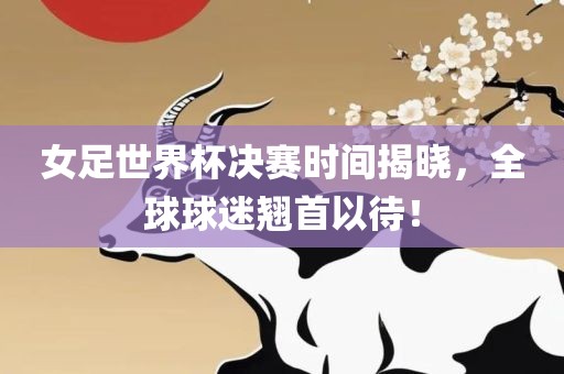 女足世界杯决赛时间揭晓，全球球迷翘首以待！吉安市靖泰电力工程有限公司