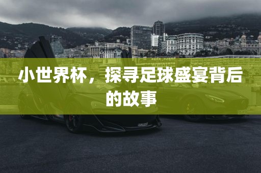 小世界杯，探寻足球盛宴背后的故事