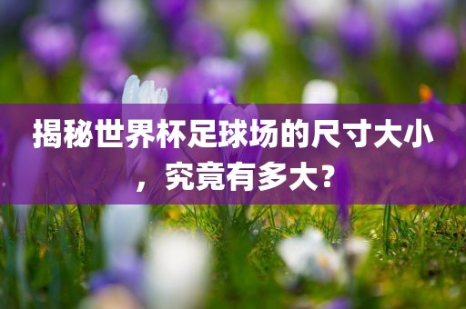 揭秘世界杯足球场的尺寸大小，究吉安市靖泰电力工程有限公司竟有多大？