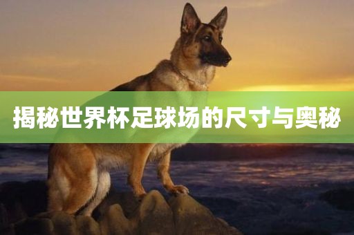 揭秘世界杯足球吉安市靖泰电力工程有限公司场的尺寸与奥秘