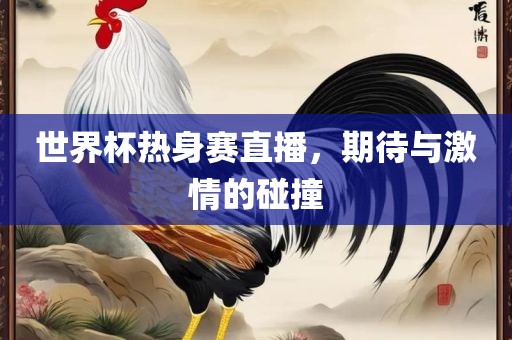 世界杯热身赛直播，期待与激情的碰撞吉安市靖泰电力工程有限公司