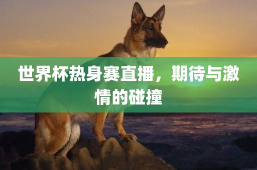 世界杯热身赛直播，期待与激情的碰撞