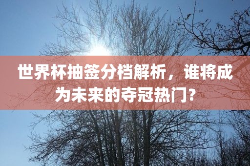 世界杯抽签分档解析，谁将成为未来的夺冠热门？吉安市靖泰电力工程有限公司