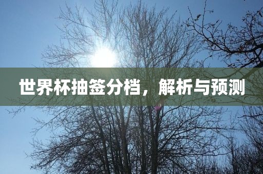 世界杯抽签分档，解析与预测吉安市靖泰电力工程有限公司