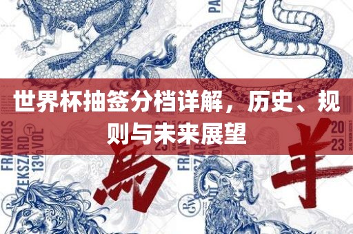 世界杯抽签分档详解，历史、规则与未来展望
