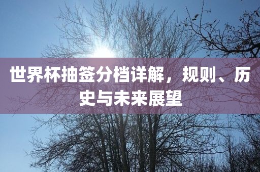 世界杯抽签分档详解，规则、历史与未来展望