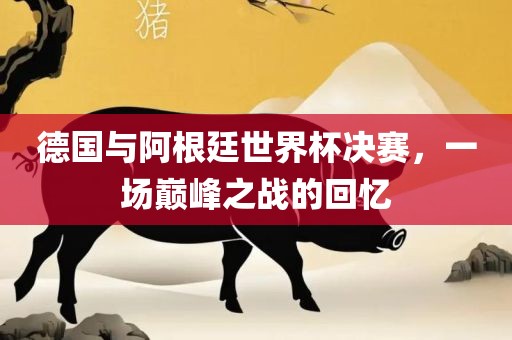 德国与阿根廷世界杯决赛，一场巅峰之战的吉安市靖泰电力工程有限公司回忆