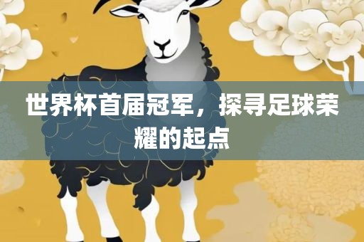 世界杯首届冠军，探寻足球荣耀的起点