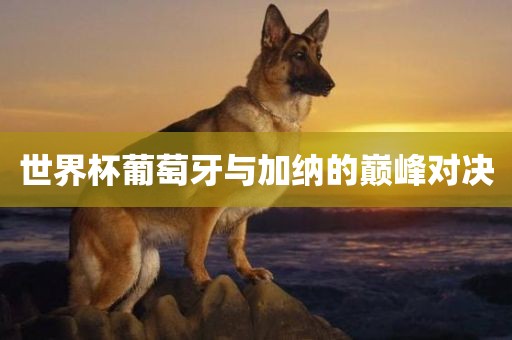 世界杯葡萄牙与加纳的巅峰对决吉安市靖泰电力工程有限公司