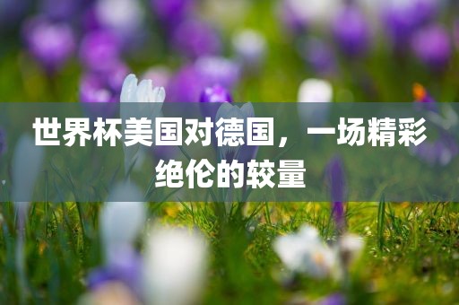世界杯美国对德国，一场精彩绝伦的较量吉安市靖泰电力工程有限公司