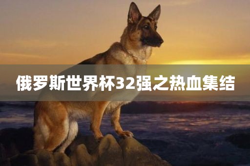 俄罗斯世界杯32强之热血集结吉安市靖泰电力工程有限公司
