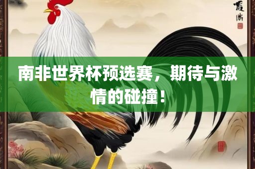 南非世界杯预选赛，期待与激情的碰撞！