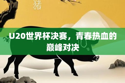 U20世界杯决赛，青春热血的巅峰对决吉安市靖泰电力工程有限公司
