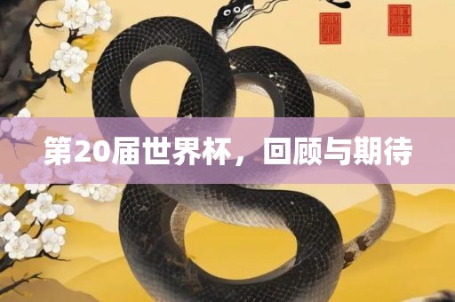 第20届世界杯，回顾与期待