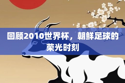 回顾2010世界杯，朝鲜足球的荣光时刻