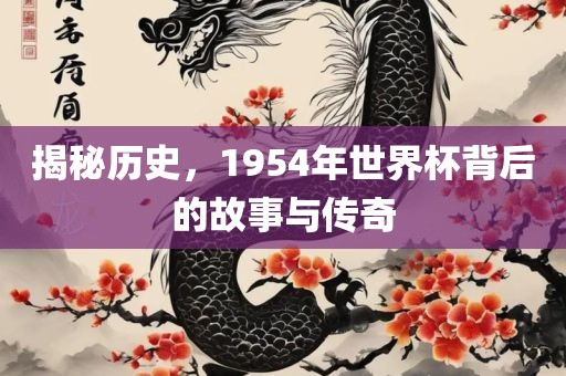 揭秘历史，1954年世界杯背后的故事与传奇吉安市靖泰电力工程有限公司