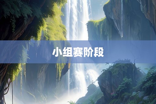 小组赛阶段
