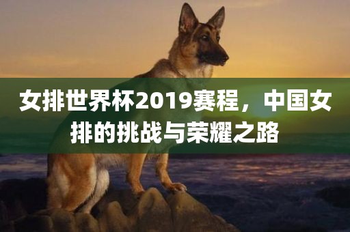 女排世界杯2吉安市靖泰电力工程有限公司019赛程，中国女排的挑战与荣耀之路