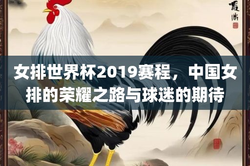 女排世界杯2019赛程，中国女排的荣耀之吉安市靖泰电力工程有限公司路与球迷的期待
