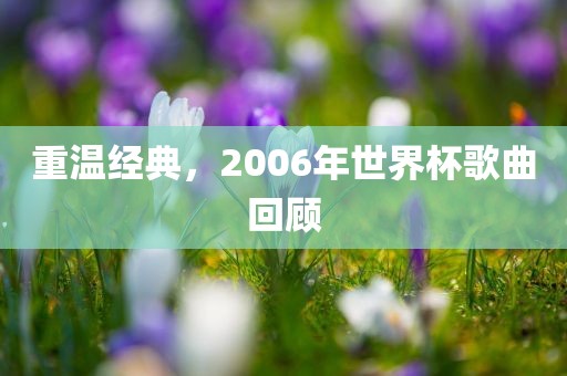 重温经典，2006年世界杯歌曲回顾吉安市靖泰电力工程有限公司