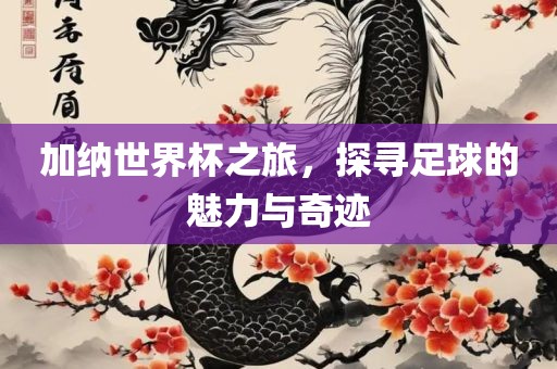 加纳世界杯之旅，探寻足球的魅力与奇迹吉安市靖泰电力工程有限公司