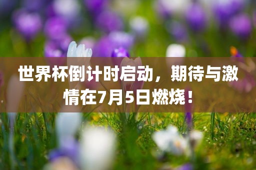世界杯倒计时启动，期待与激情在7月5日燃烧！吉安市靖泰电力工程有限公司