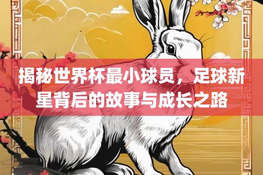 揭秘世界杯最小球员，足球新星背后的故事与成长之路吉安市靖泰电力工程有限公司