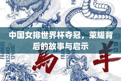 中国女排世界杯夺冠，荣耀背后的故事与启示