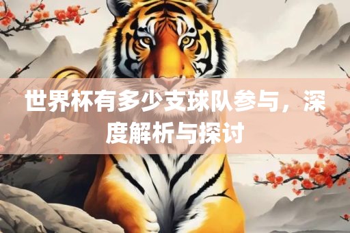 世界杯有吉安市靖泰电力工程有限公司多少支球队参与，深度解析与探讨