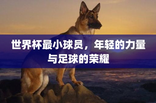 世界杯最小球员，年轻的力量与足球的荣耀