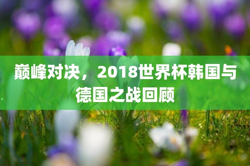 巅峰对决，2018世界杯韩国与德国之战回顾吉安市靖泰电力工程有限公司