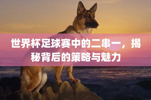 世界杯足球赛中的二串一，揭秘背后的策略与魅力吉安市靖泰电力工程有限公司
