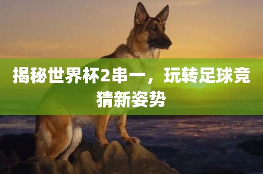 揭秘世界杯2串一，玩转足球竞猜新姿势吉安市靖泰电力工程有限公司
