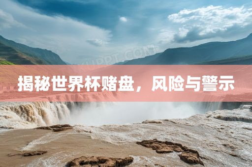 揭秘世界杯赌盘，风险与警示