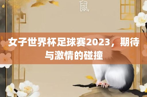 女子世界杯足球赛2023，期待与激情的碰撞