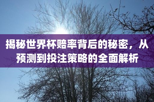揭秘世界杯赔率背后的秘密，从预测到投注策略的全面解析