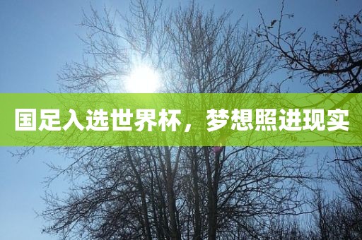 国足入选世界杯，梦想照进现实