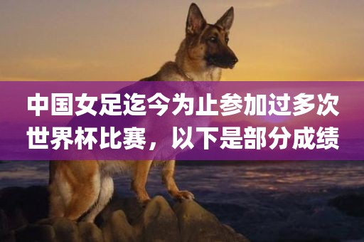 中国女足迄今为止参加过多次世界杯比赛，以下是部分成绩吉安市靖泰电力工程有限公司