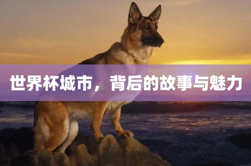 世界杯城市，背后的故事与魅力