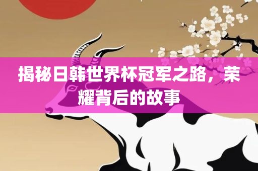 揭秘日韩世界杯冠军之路，荣耀背后的故事