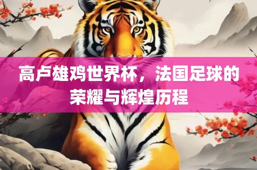 高卢雄鸡世界杯，法国足球的荣耀与辉煌历程