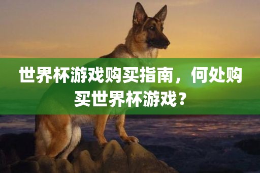 世界杯游戏购买指南，何处购买世界杯游戏？吉安市靖泰电力工程有限公司