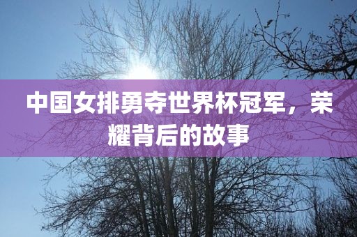 中国女排勇夺世界杯冠军，荣耀背后的故事