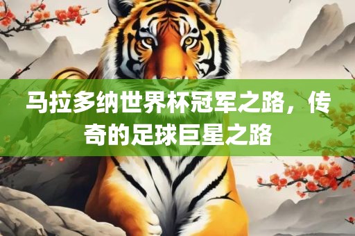 马拉多纳世界杯冠军之路，传奇的足球巨星之路吉安市靖泰电力工程有限公司